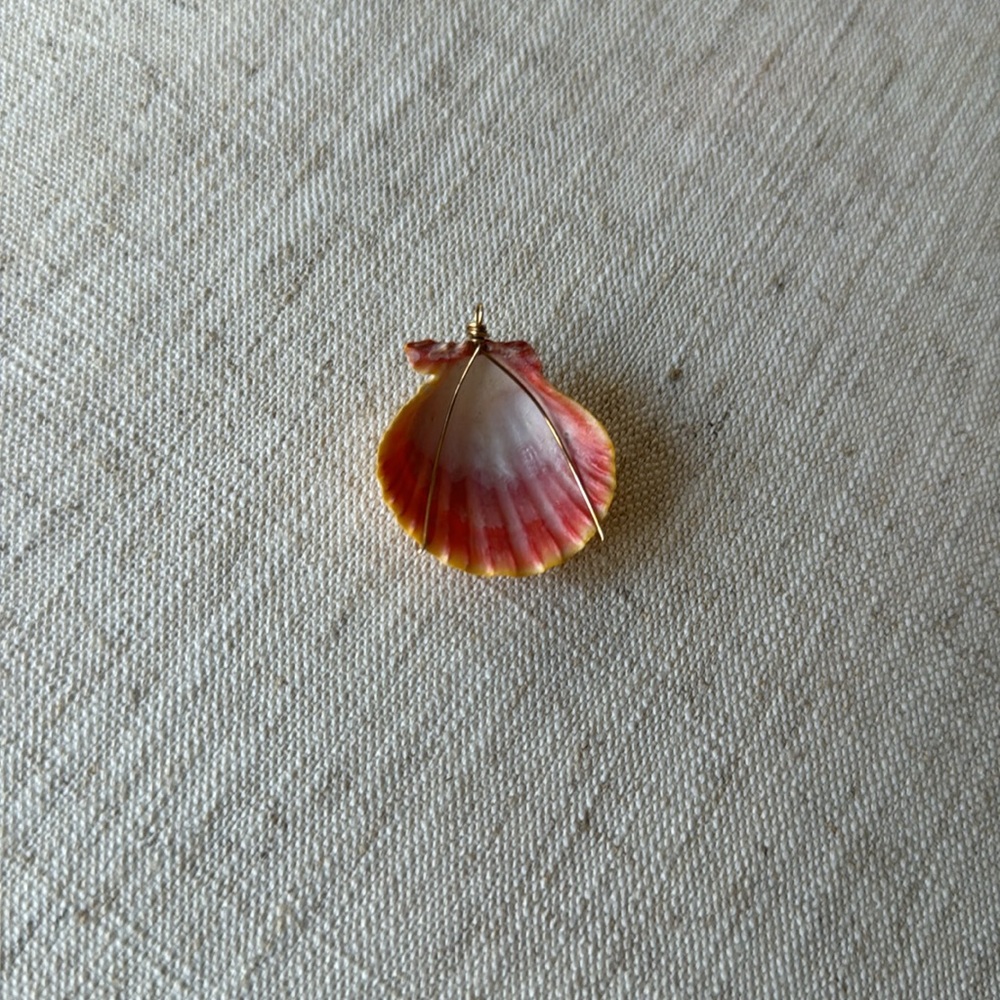 Sunrise sea shell - Picture 6 of 7